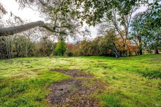 Residential Lot,  Heaven Hill road, Sonoma, CA 95476 - 2