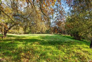 Residential Lot,  Heaven Hill road, Sonoma, CA 95476 - 6