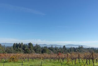 Single Family Residence, Grandview road, Sebastopol, CA 95472 - 48