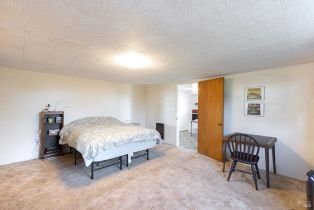 Single Family Residence, Grandview road, Sebastopol, CA 95472 - 34