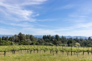 Single Family Residence,  Grandview road, Sebastopol, CA 95472 - 34