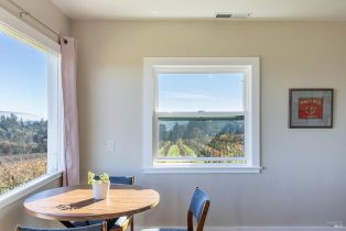 Single Family Residence, Grandview road, Sebastopol, CA 95472 - 22