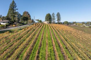 Single Family Residence, Grandview road, Sebastopol, CA 95472 - 57