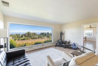 Single Family Residence, Grandview road, Sebastopol, CA 95472 - 15