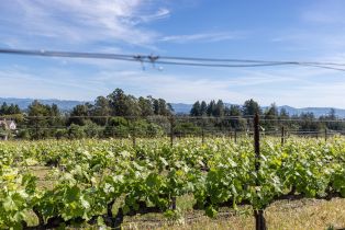 Single Family Residence,  Grandview road, Sebastopol, CA 95472 - 32