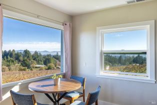 Single Family Residence, Grandview road, Sebastopol, CA 95472 - 23