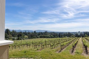 Single Family Residence,  Grandview road, Sebastopol, CA 95472 - 35