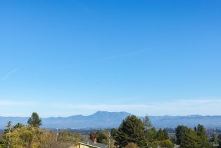 Single Family Residence, Grandview road, Sebastopol, CA 95472 - 49