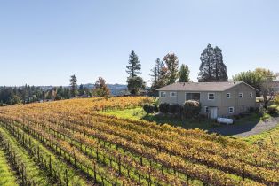Single Family Residence, Grandview road, Sebastopol, CA 95472 - 40