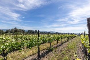Single Family Residence,  Grandview road, Sebastopol, CA 95472 - 33
