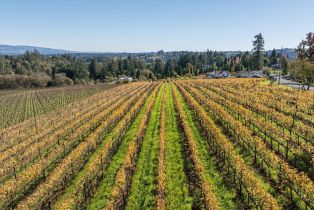 Single Family Residence, Grandview road, Sebastopol, CA 95472 - 56