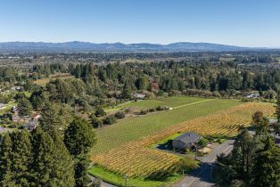 Single Family Residence, Grandview road, Sebastopol, CA 95472 - 8