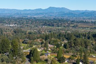 Single Family Residence, Grandview road, Sebastopol, CA 95472 - 46