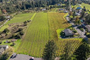 Single Family Residence, Grandview road, Sebastopol, CA 95472 - 3