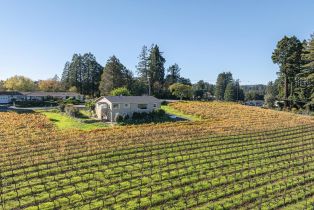Single Family Residence, Grandview road, Sebastopol, CA 95472 - 38