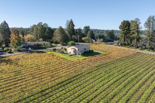 Single Family Residence, Grandview road, Sebastopol, CA 95472 - 37