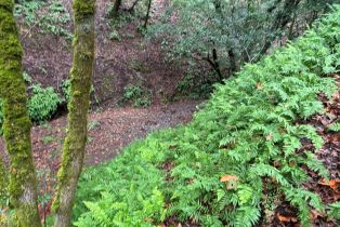 Residential Acreage,  Dell avenue, Russian River, CA 95436 - 9