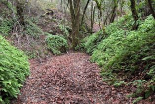 Residential Acreage,  Dell avenue, Russian River, CA 95436 - 5