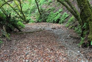 Residential Acreage,  Dell avenue, Russian River, CA 95436 - 4