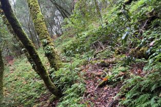 Residential Acreage,  Dell avenue, Russian River, CA 95436 - 7