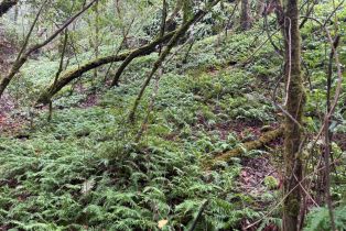 Residential Acreage,  Dell avenue, Russian River, CA 95436 - 6