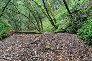 Residential Acreage,  Dell avenue, Russian River, CA 95436 - 2