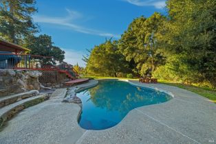 Single Family Residence, Guerneville road, Russian River, CA 95472 - 31