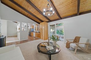 Single Family Residence, Guerneville road, Russian River, CA 95472 - 11