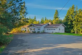 Single Family Residence, Guerneville road, Russian River, CA 95472 - 2