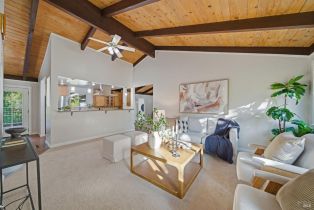 Single Family Residence, Guerneville road, Russian River, CA 95472 - 6