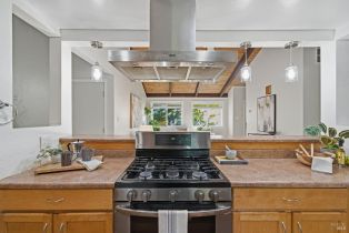 Single Family Residence, Guerneville road, Russian River, CA 95472 - 10
