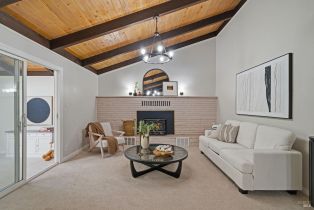 Single Family Residence, Guerneville road, Russian River, CA 95472 - 12