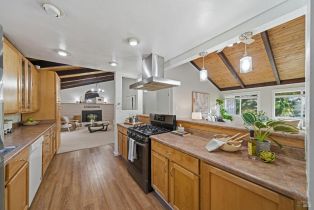 Single Family Residence, Guerneville road, Russian River, CA 95472 - 9