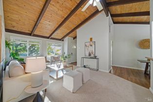 Single Family Residence, Guerneville road, Russian River, CA 95472 - 3