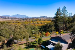 Single Family Residence,  Soda Rock lane, Healdsburg, CA 95448 - 6