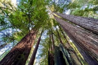 Residential Lot,  Mesa Grande terrace, Russian River, CA 95462 - 9