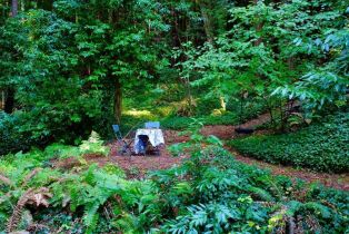 Residential Lot,  Mesa Grande terrace, Russian River, CA 95462 - 13