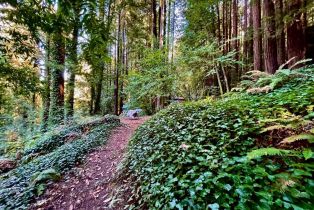 Residential Lot,  Mesa Grande terrace, Russian River, CA 95462 - 10