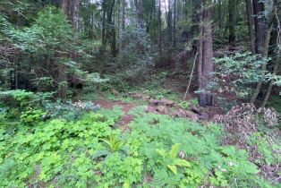 Residential Acreage,  Cazadero highway, Russian River, CA 95421 - 2