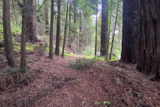 Residential Acreage,  Cazadero highway, Russian River, CA 95421 - 3