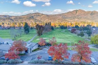 Single Family Residence, Overlook drive, Santa Rosa, CA 95409 - 24