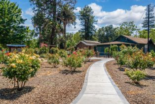 Single Family Residence,  Jefferson street, Napa, CA 94559 - 52