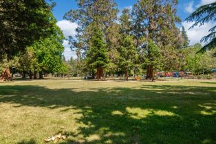 Single Family Residence,  Jefferson street, Napa, CA 94559 - 53