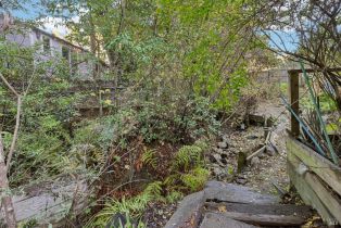 Single Family Residence,  Wagnon road, Sebastopol, CA 95472 - 35