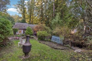 Single Family Residence,  Wagnon road, Sebastopol, CA 95472 - 3