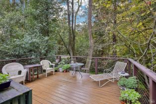 Single Family Residence,  Wagnon road, Sebastopol, CA 95472 - 26