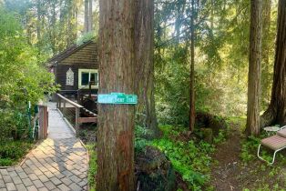 Single Family Residence,  Wagnon road, Sebastopol, CA 95472 - 41