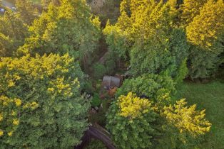 Single Family Residence,  Wagnon road, Sebastopol, CA 95472 - 38