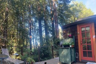 Single Family Residence,  Wagnon road, Sebastopol, CA 95472 - 38