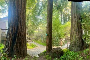 Single Family Residence,  Wagnon road, Sebastopol, CA 95472 - 42